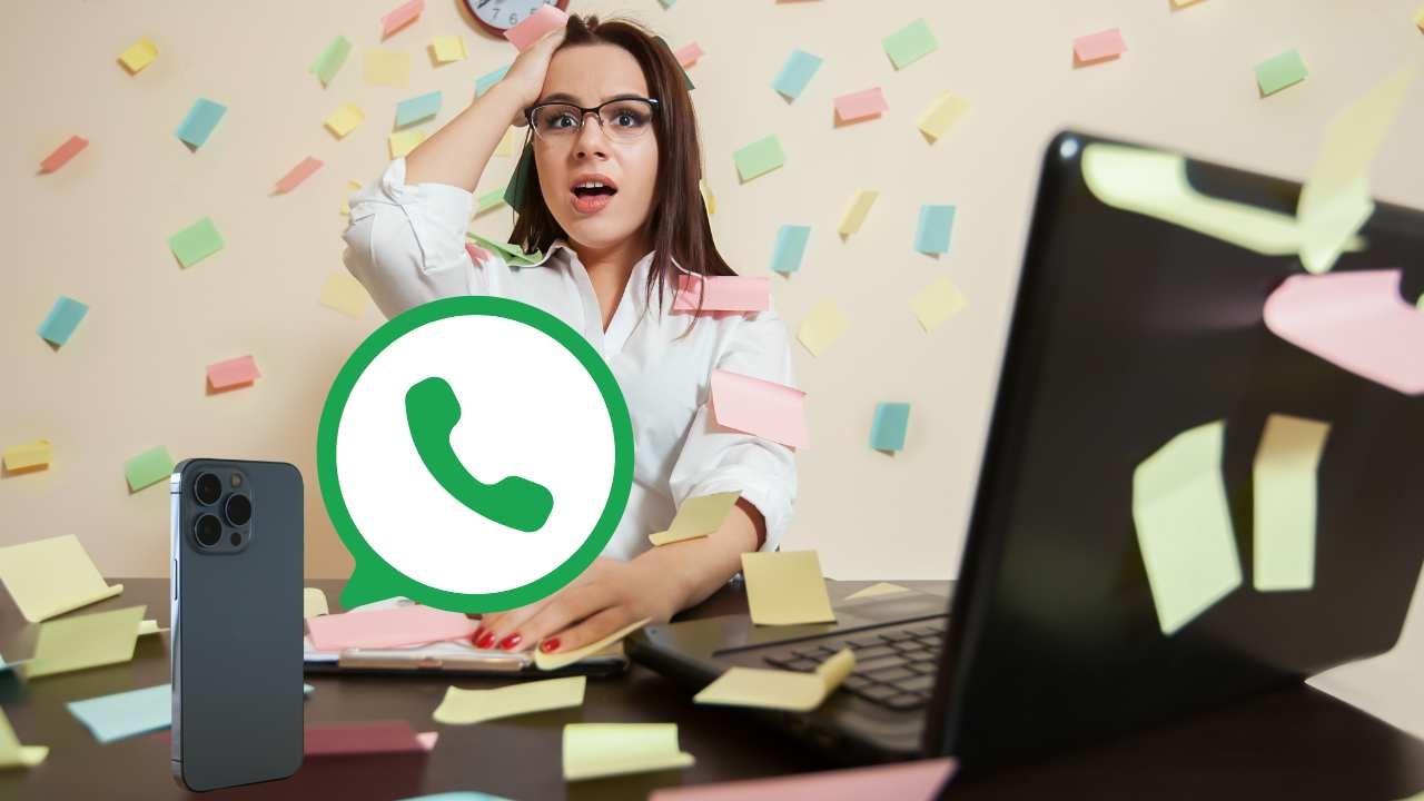 WhatsApp novità