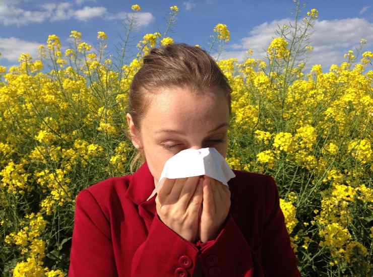 il nuovo rischio carcere per le allergie