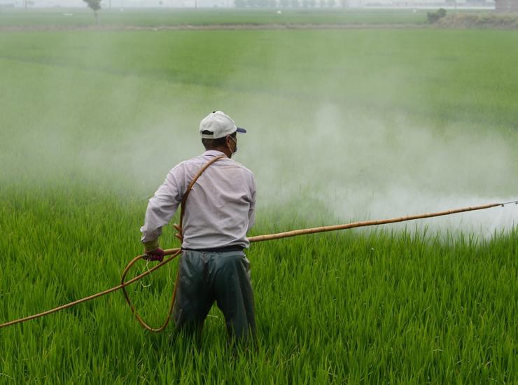 effetti letali dei pesticidi