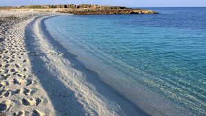 spiaggia rosa